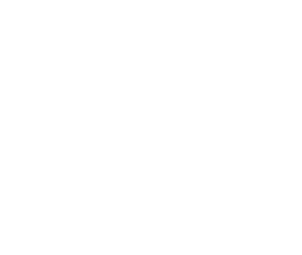 Número 1 Número 1